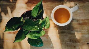 what is chai?